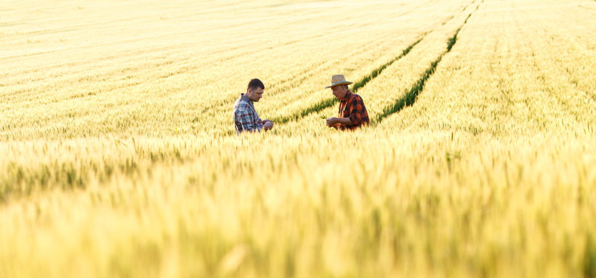 Agriculture Agriculture