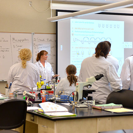Biology students working in a lab.