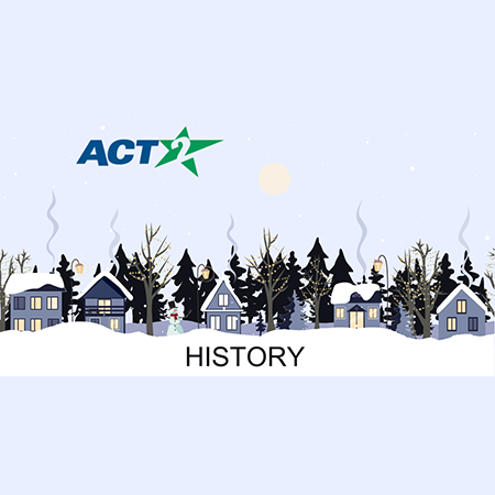 A group of houses in a snowy landscape