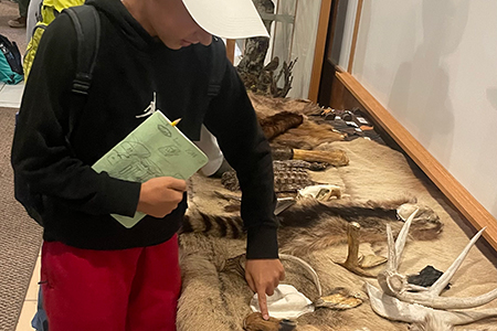 Students looking at various animal pelts, feathers, shells, and bones.