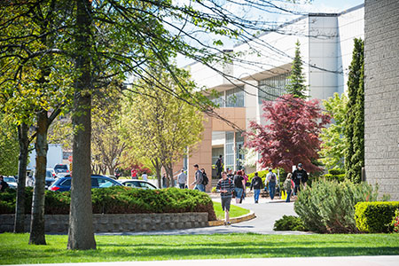 A sunny day with a college building is in the background. Groups of students are walking into the building and some groups are walking away from the building. 