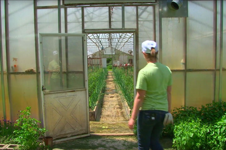 Student entering greenhouse