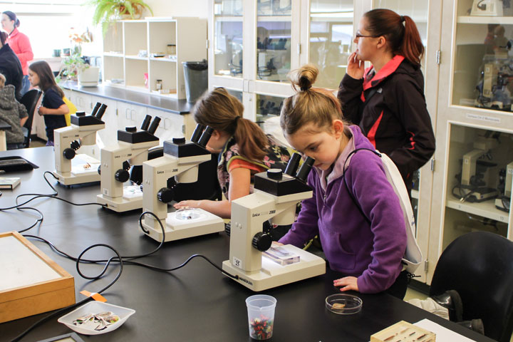 Children look through microscopes