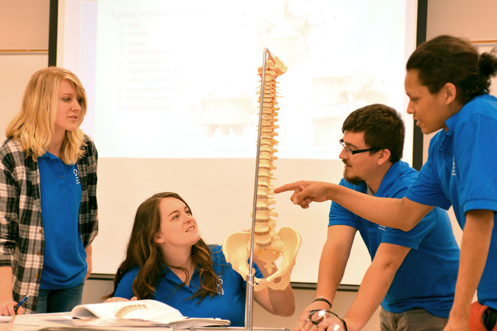 Four Orthotics and Prosthetics students with spine model