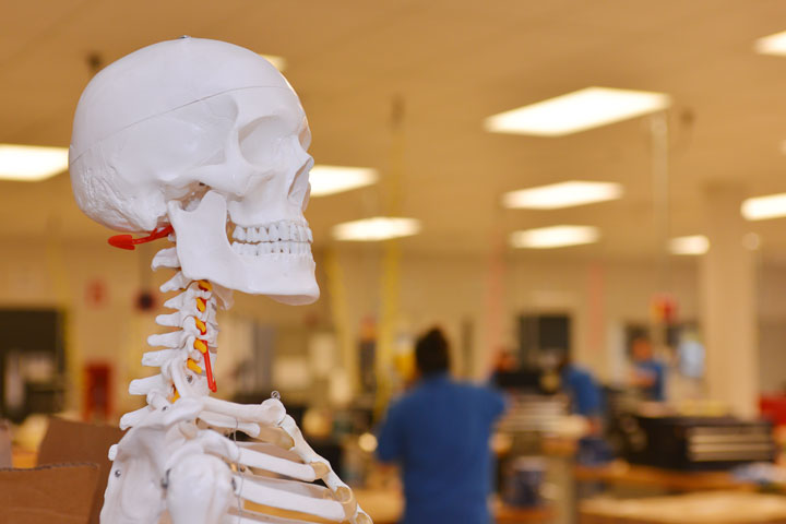 Orthotics and Prosthetics Lab with skeleton in foreground