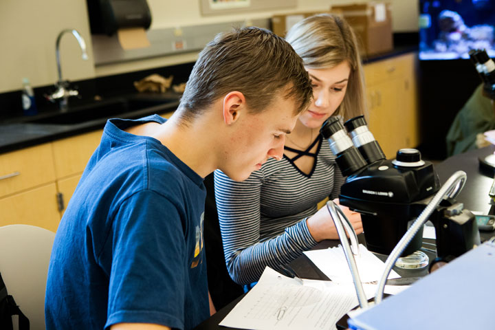 Two science students looking through microscope